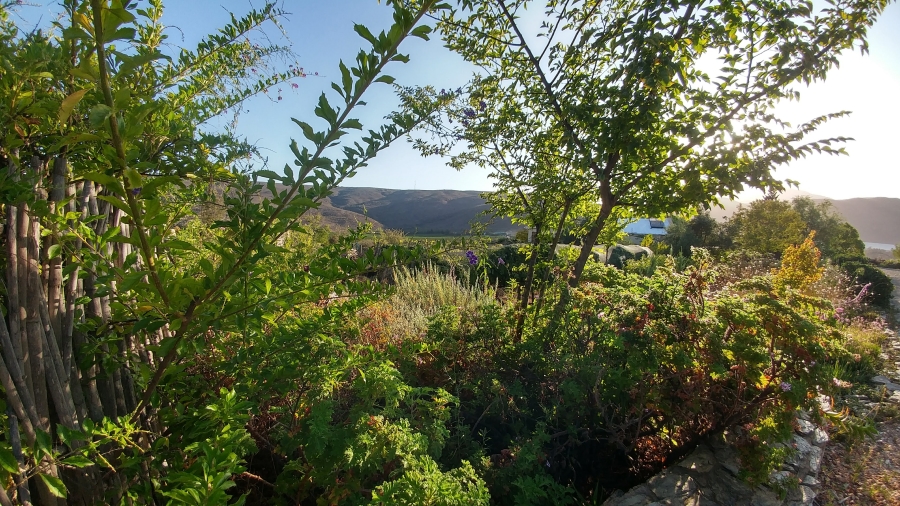 0 Bedroom Property for Sale in Barrydale Western Cape